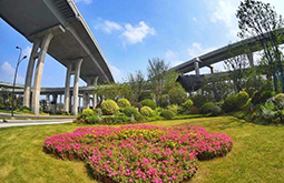 寧波市建潤(rùn)市政-“三路”高架橋綠化美化工程IV標(biāo)段